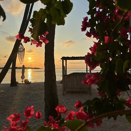 Samura Maldives Guest House Thulusdhoo Eksteriør bilde