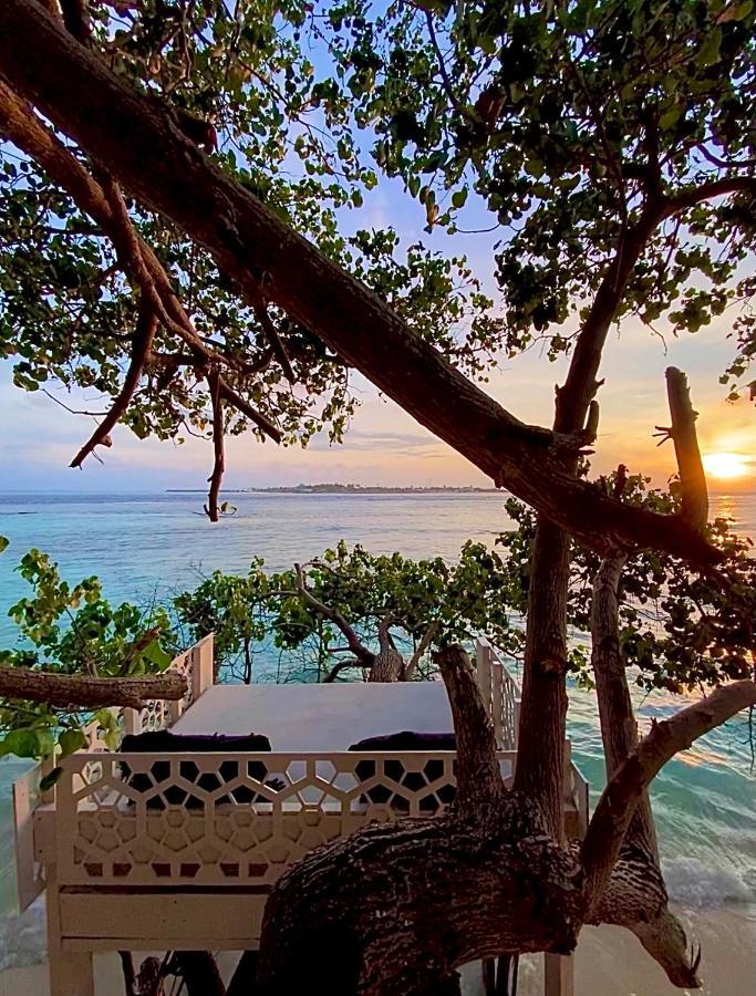 Samura Maldives Guest House Thulusdhoo Eksteriør bilde