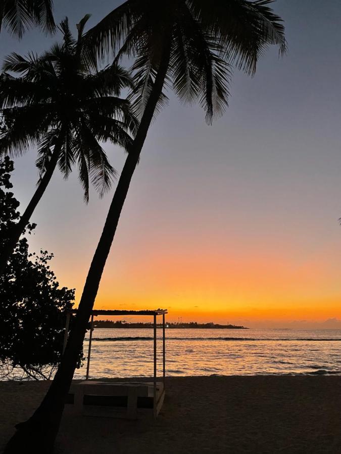 Samura Maldives Guest House Thulusdhoo Eksteriør bilde