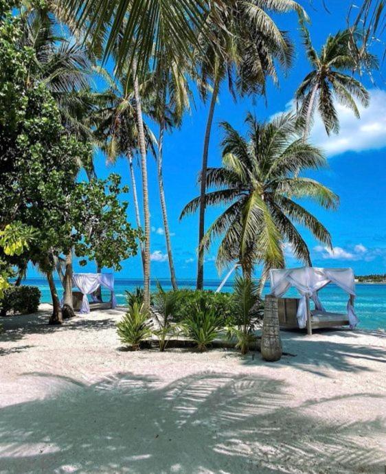 Samura Maldives Guest House Thulusdhoo Eksteriør bilde
