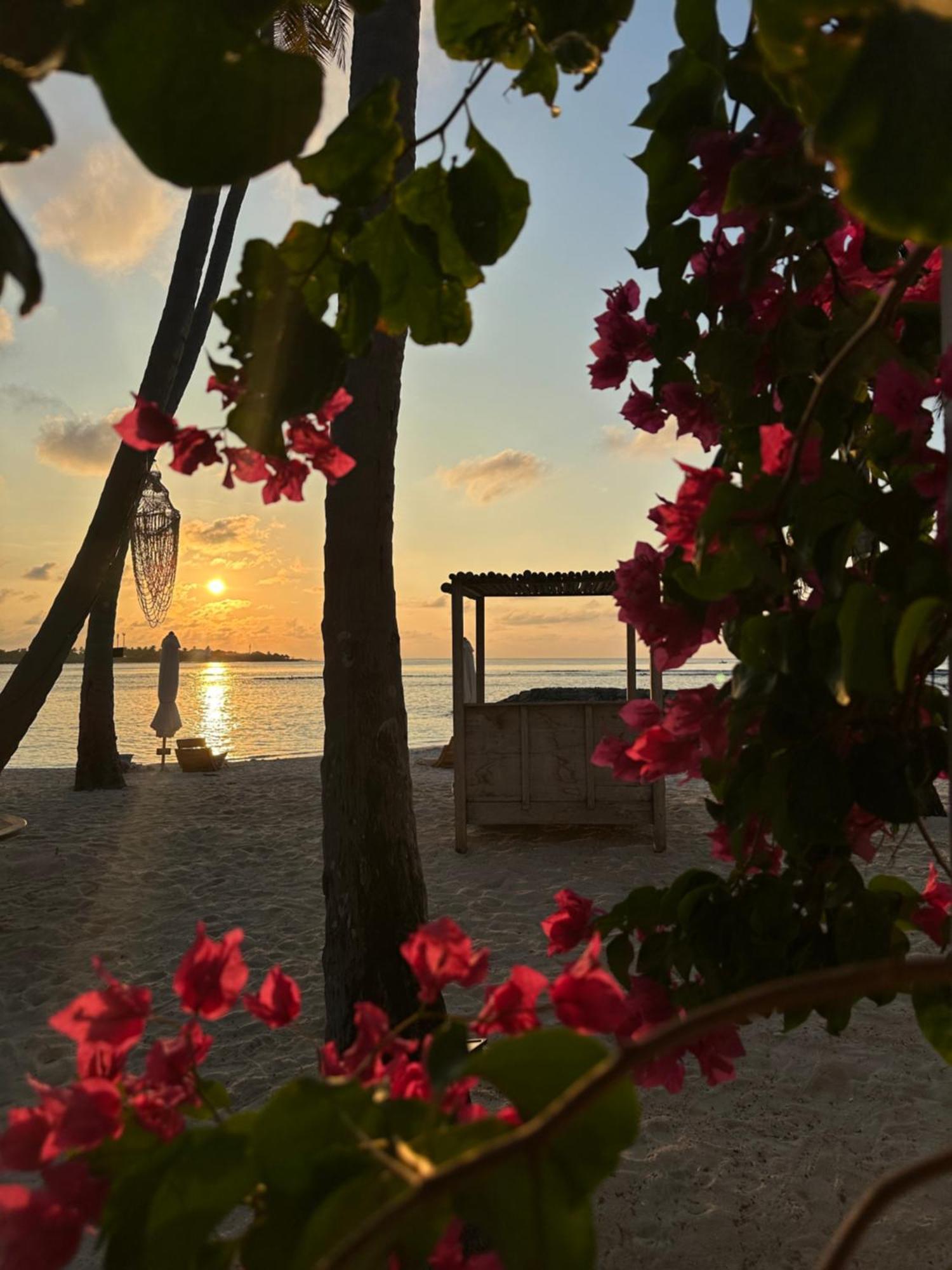 Samura Maldives Guest House Thulusdhoo Eksteriør bilde