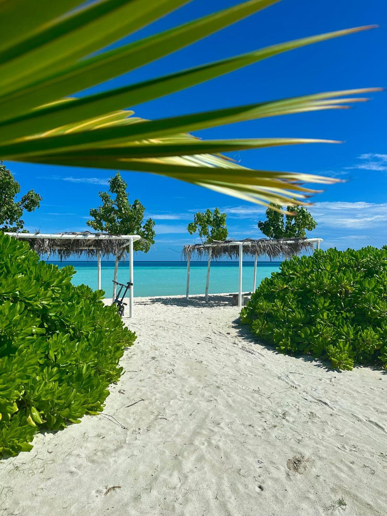 Samura Maldives Guest House Thulusdhoo Eksteriør bilde
