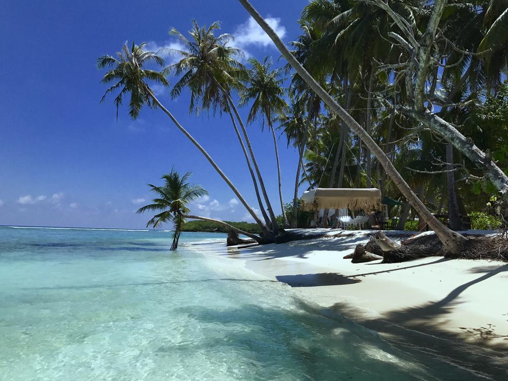 Samura Maldives Guest House Thulusdhoo Eksteriør bilde