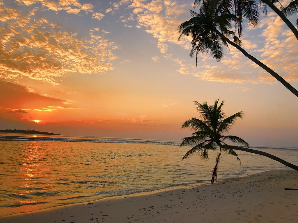 Samura Maldives Guest House Thulusdhoo Eksteriør bilde